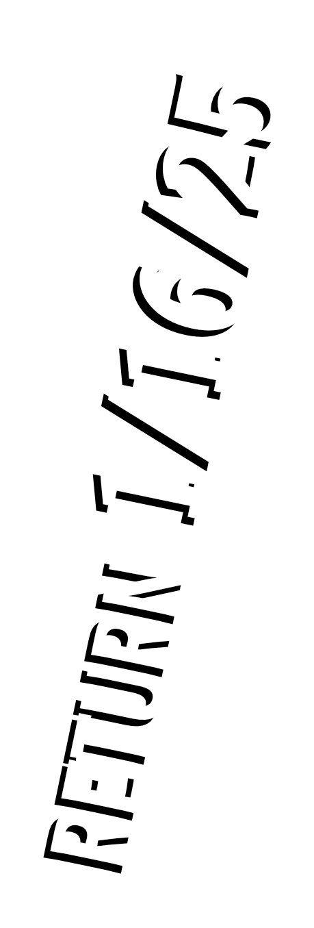 Return to Lou Roc's Diner- 1-16-25